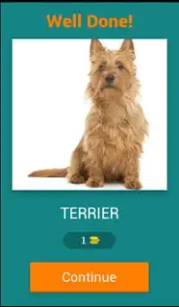 Dog Breeds Quiz Screen Shot 1