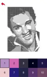 Elvis Presley Color by Number - Pixel Art Game Screen Shot 6