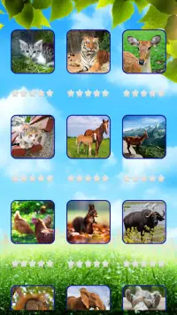 Animals World Tile Puzzle Screen Shot 1