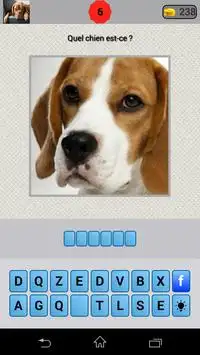 Quizz Race de chien Screen Shot 2