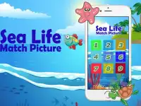 Kids Sea Life Match Picture Screen Shot 4
