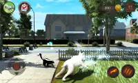 Simulador de perro Bull Terier Screen Shot 1