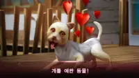 DogHotel – 강아지와 놀기, 사육장 관리 Screen Shot 5