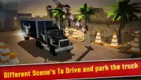 Passion Truck Parking Extraordinary Simulation Screen Shot 1
