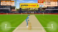 New Super Cricket 3 Screen Shot 2