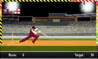 Worldcup Cricket Fever 2015-16 Screen Shot 3