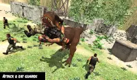 Dino Prison Escape Missions -Jurassic City Rampage Screen Shot 6
