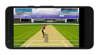 Cricket Mini Simulator Screen Shot 12