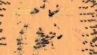 Bug Battle Simulator Screen Shot 2