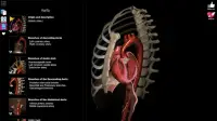 Anatomy Learning - Atlas d'anatomie 3D Screen Shot 10