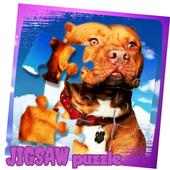 Pitbull Game Jigsaw Puzzle - New Dog Game App