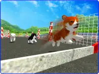 Cute Puppy Dog Racing Sim 2017 Screen Shot 6