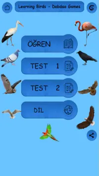 Birds - Learning Birds Screen Shot 0
