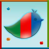 Colourful Birds switcher