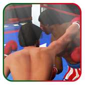 Boxing Fighting Rocky Hero
