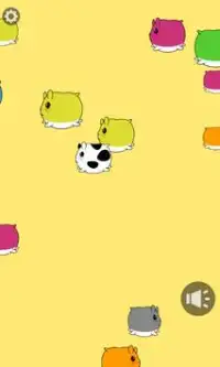 Touch and Play! Hamster Farm Screen Shot 2