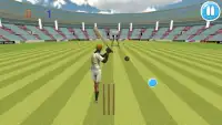 Cricket Bat Ball Hit 3D Screen Shot 3
