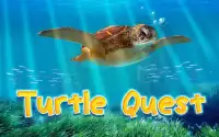 Turtle Simulator: Sea Quest Screen Shot 0