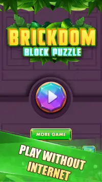 Drop Puzzle: Slide Block Puzzle Screen Shot 0