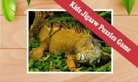 Top Free Animal Games: Lizards Screen Shot 4