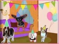 Zula the Dog - Virtual Pet Screen Shot 4