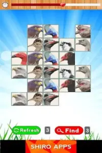 Jungle Bird Matching for Kids Screen Shot 3