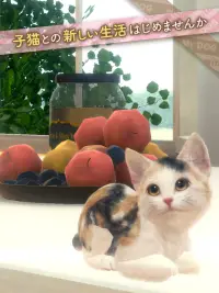 with My CAT - 猫とくらそう - Screen Shot 8