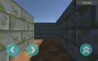 Craft Maze Runner 3D Screen Shot 0