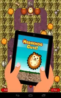 Hedgehog Cute (free with ads) Screen Shot 8