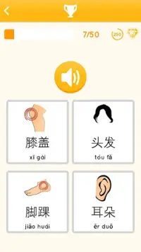 Apprendre le chinois débutants Screen Shot 7