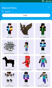 World Craft Skin MCPE (Unlimited Edition) Screen Shot 0