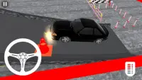 Racing Car Driving Simulator - 3D Parking Games Screen Shot 0