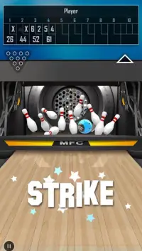 3D Pro Bowling Screen Shot 4