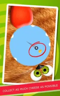 Cat Games: Spin the Kitty Free Screen Shot 4