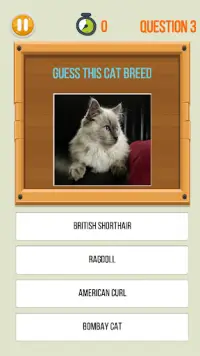 Amazing Kitty Cat Trivia Screen Shot 4