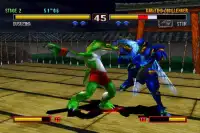 Pro Bloody Roar 4 Special Game Hint Screen Shot 1