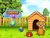 Labrador Pet Daycare Nanny House Screen Shot 0