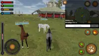 Horse Multiplayer : Arabian Screen Shot 8