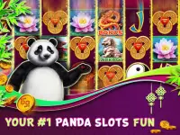Panda Slots Screen Shot 13