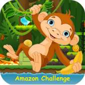 Amazon Challenge v.2
