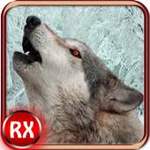 Wild Wolf Attack 3D Simulator
