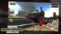 Drive Orient-Express Simulator Screen Shot 3