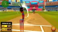 Bat Attack Cricket Multiplayer Screen Shot 5