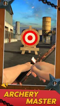 Archery World Screen Shot 0