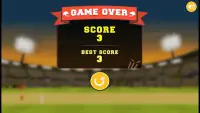 City Cricket Game - World Cricket Game Screen Shot 3