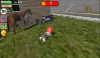 Simulador de gato piloto : monta en moto y caballo Screen Shot 4