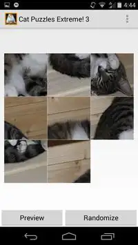 Cat Puzzles Extreme! 3 Screen Shot 3