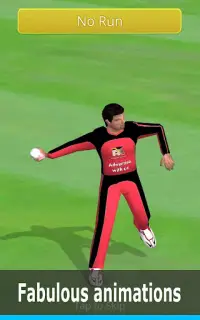 Smashing Cricket: cricket game Screen Shot 19