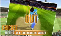 Quick Cricket Screen Shot 4