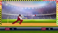 World T10 Cricket Premier League 3D Screen Shot 5